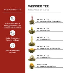 2x 18er Magnet-Präsentbox ErblühTee Grüner Tee "Fruity Flavor" + Weißer Tee -Heimische Küche creano 2x 18er magnet prasentbox erbluhtee gruner tee fruity flavor weisser tee 6