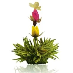 36er Pack ErblühTee Grüner Tee Fruity Flavor -Heimische Küche creano 36er pack erbluhtee gruner tee fruity flavor 4