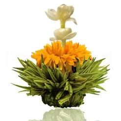 36er Pack ErblühTee Grüner Tee Fruity Flavor -Heimische Küche creano 36er pack erbluhtee gruner tee fruity flavor 7