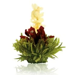 36er Pack ErblühTee Grüner Tee Fruity Flavor -Heimische Küche creano 36er pack erbluhtee gruner tee fruity flavor 8