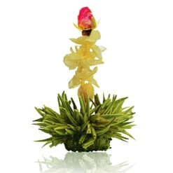 36er Pack ErblühTee Grüner Tee Fruity Flavor -Heimische Küche creano 36er pack erbluhtee gruner tee fruity flavor 9