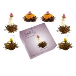 3x 6er BOX ErblühTee Grüner Tee + Weißer Tee + Grün/Weiß/Schwarz 16 3x 6er BOX ErblühTee Grüner Tee + Weißer Tee + Grün/Weiß/Schwarz -Heimische Küche creano 3x 6er box erbluhtee gruner tee weisser tee grun weiss schwarz 5