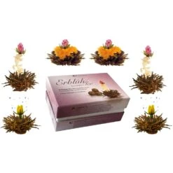 6er Box: ErblühTee Schwarztee