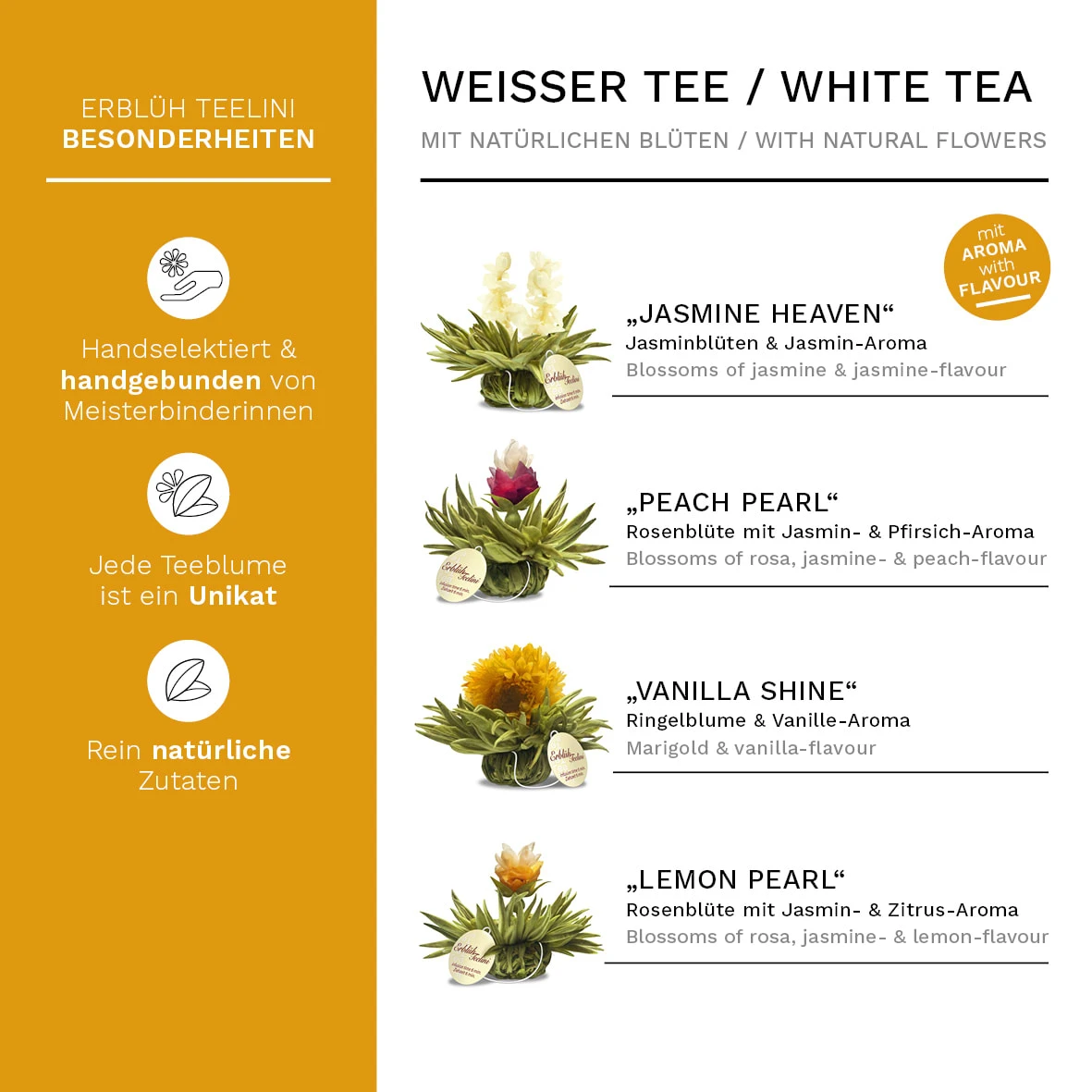 Holzpräsentbox "12er Teelini Weißtee" 4 Holzpräsentbox "12er Teelini Weißtee" – Bild 2