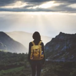 3x Trinkflasche In Pink - 500 Ml -Heimische Küche relaxdays 3x trinkflasche in pink 500 ml 2