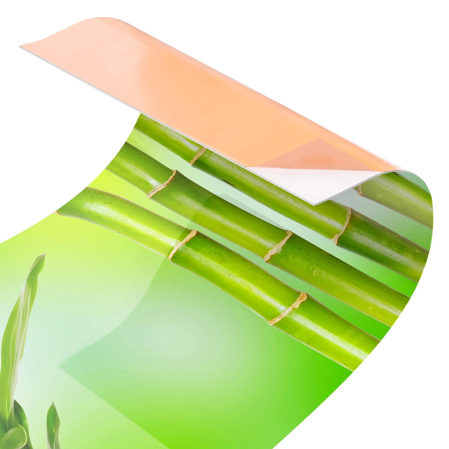 Küchenrückwand - Grüner Bambus In Grün 7 Küchenrückwand - Grüner Bambus In Grün – Bild 5