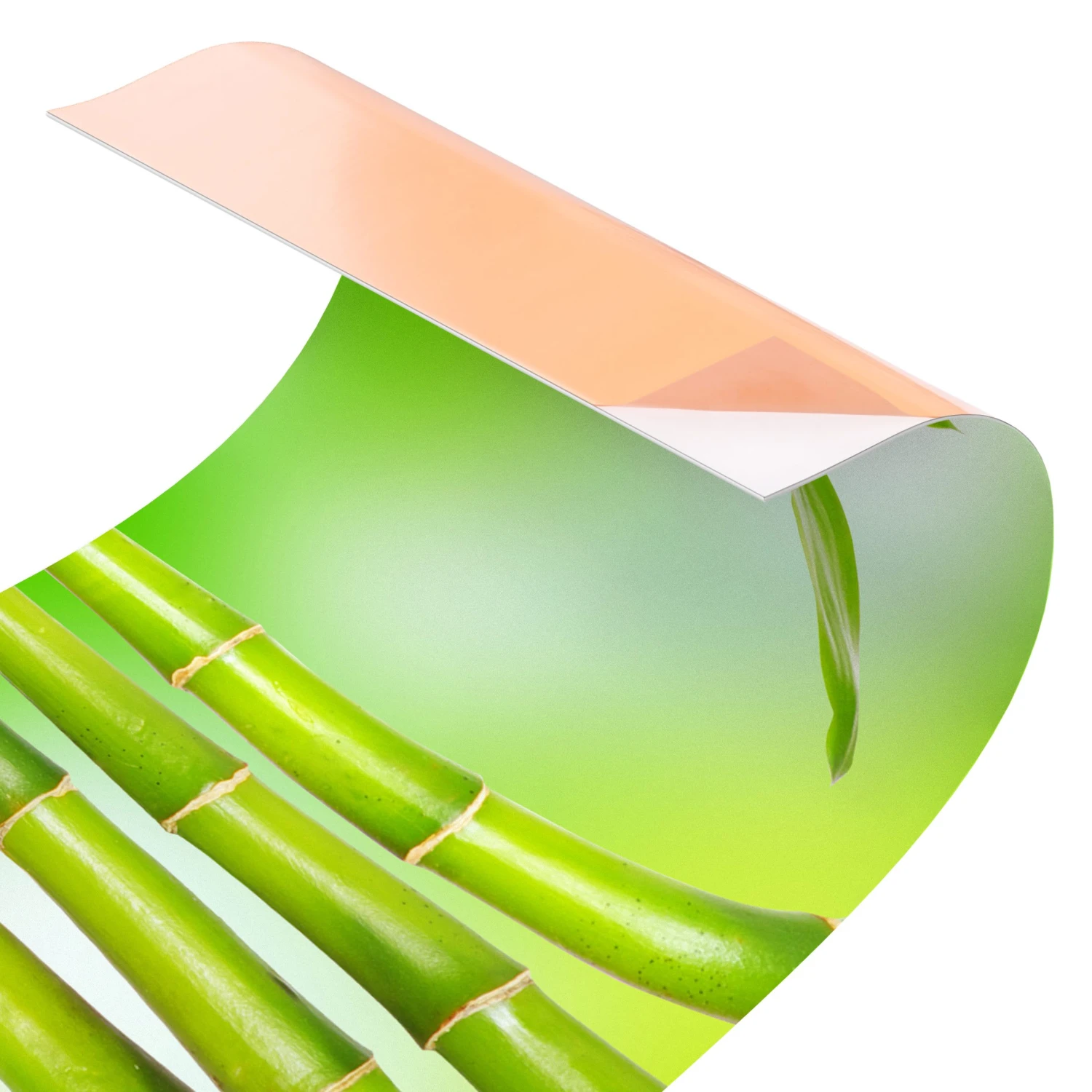 Küchenrückwand - Grüner Bambus In Grün 8 Küchenrückwand - Grüner Bambus In Grün – Bild 6